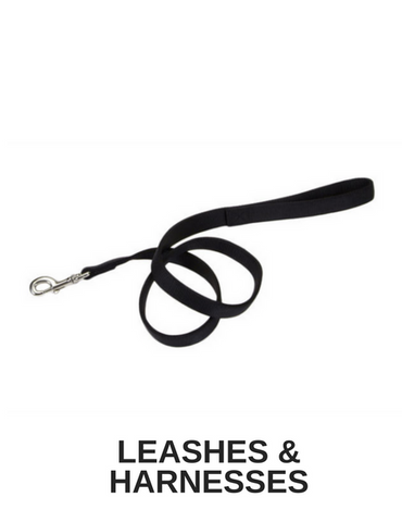 Dog Leashes & Harnesses